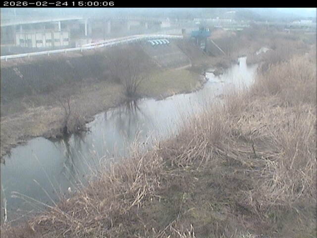 大路川３2026/02/25 2:30:00