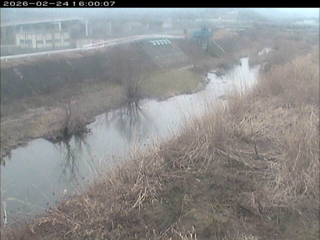 大路川３2026/02/25 2:30:00