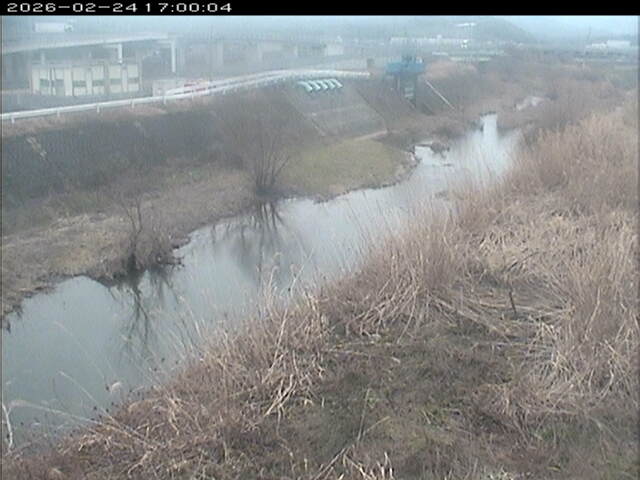 大路川３2026/02/25 2:30:00