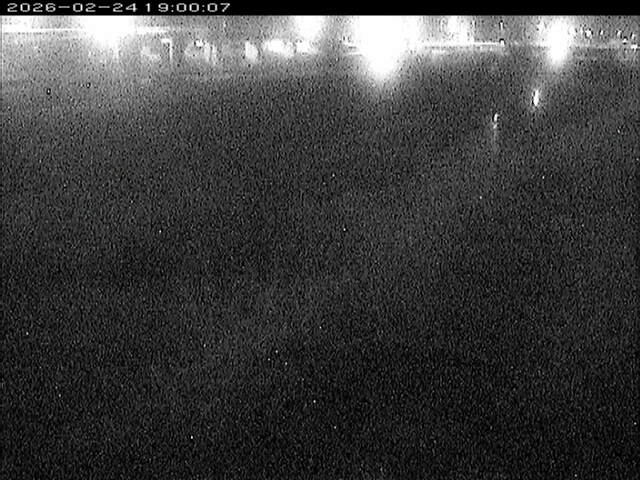 大路川３2026/02/25 2:30:00