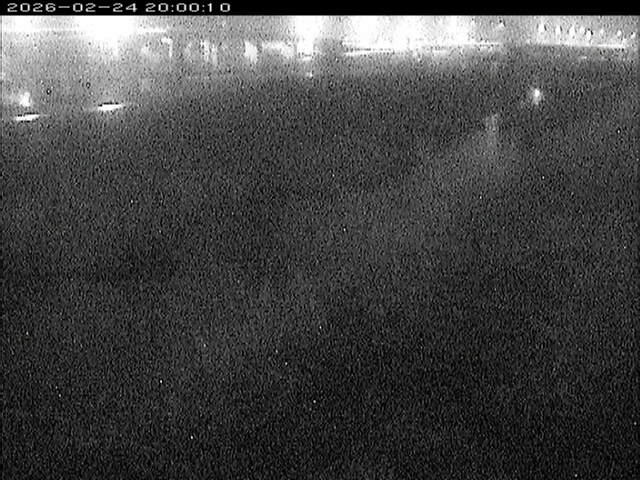 大路川３2026/02/25 2:30:00