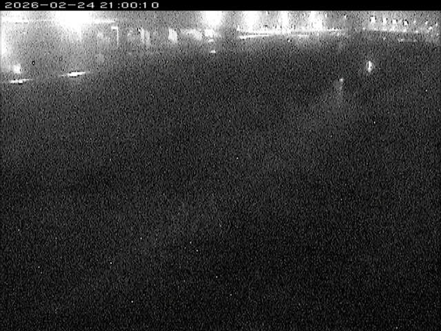 大路川３2026/02/25 2:30:00