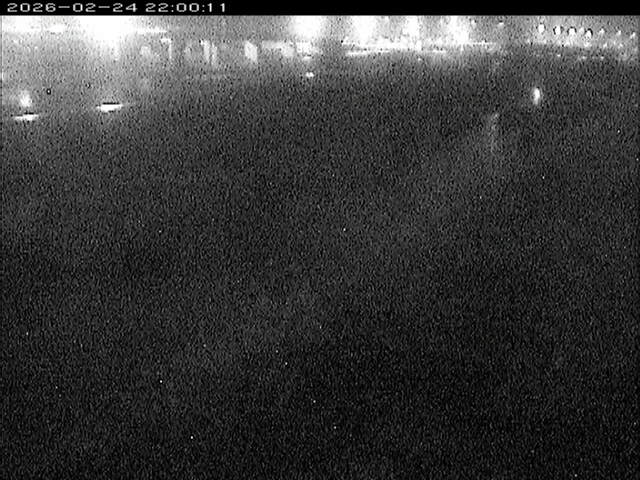 大路川３2026/02/25 2:30:00