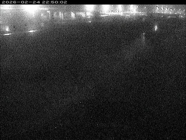 大路川３2026/02/25 2:30:00