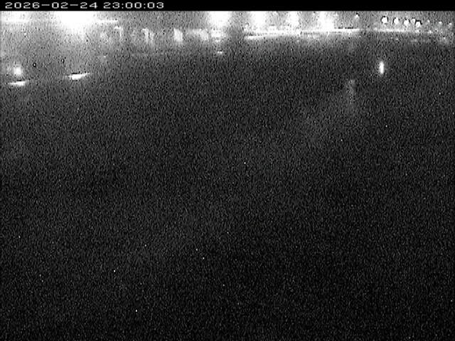 大路川３2026/02/25 2:30:00