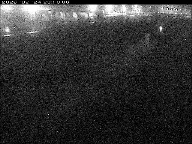 大路川３2026/02/25 2:30:00