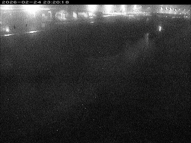 大路川３2026/02/25 2:30:00