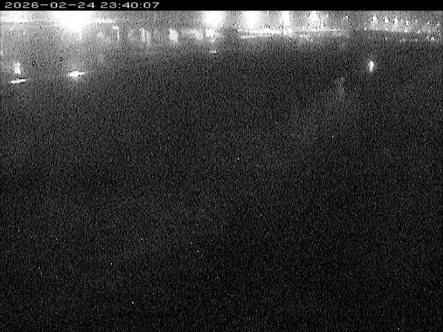 大路川３2026/02/25 2:30:00