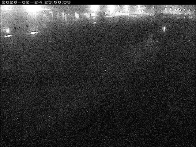 大路川３2026/02/25 2:30:00