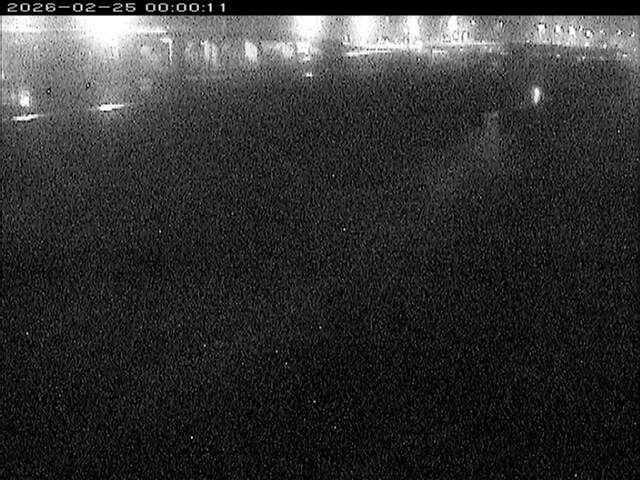 大路川３2026/02/25 2:30:00