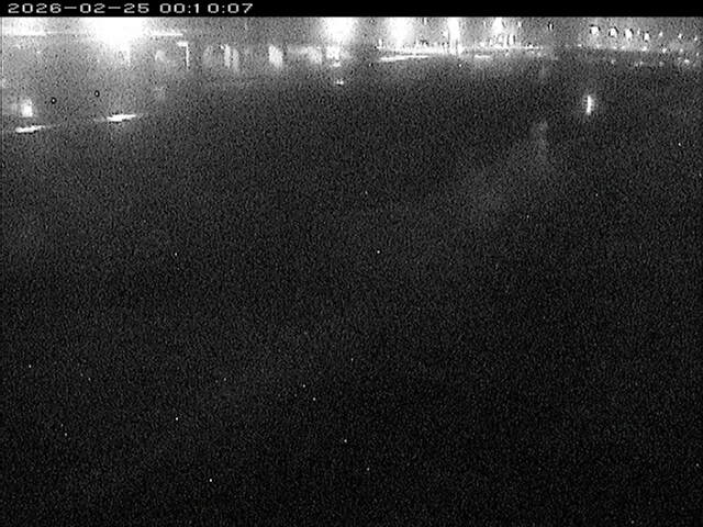 大路川３2026/02/25 2:30:00