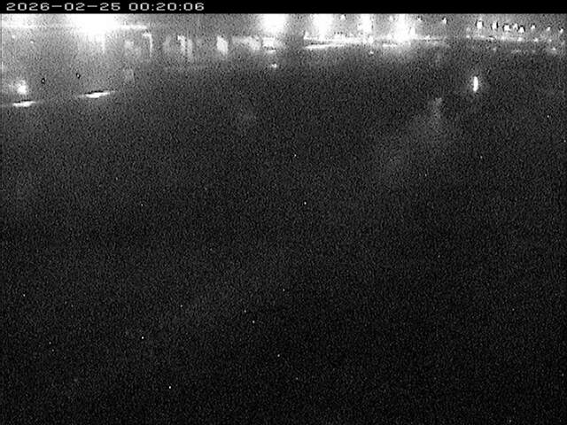 大路川３2026/02/25 2:30:00