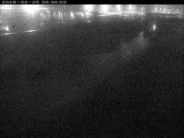 大路川３2026/02/25 2:30:00