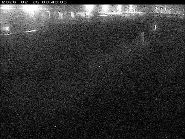 大路川３2026/02/25 2:30:00