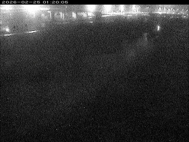 大路川３2026/02/25 2:30:00