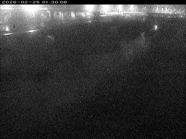 大路川３2026/02/25 2:30:00