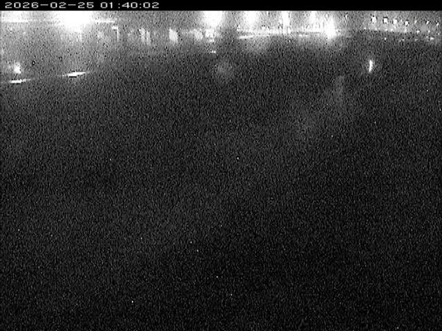 大路川３2026/02/25 2:30:00