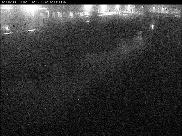 大路川３2026/02/25 2:30:00