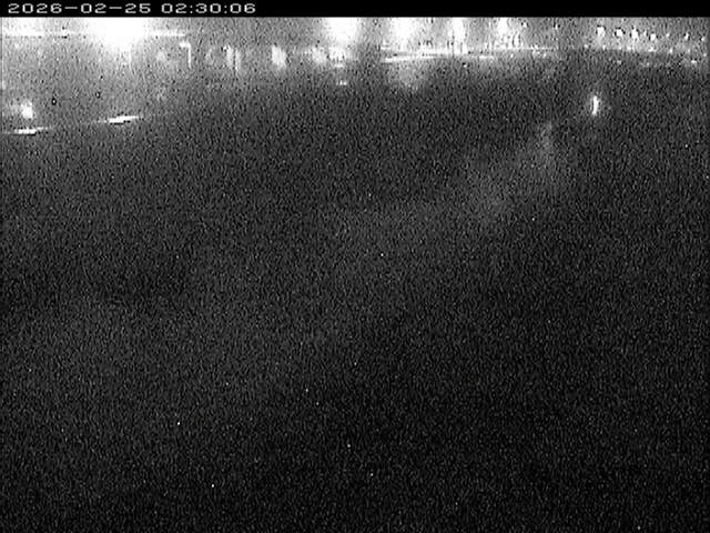 大路川３2026/02/25 2:30:00