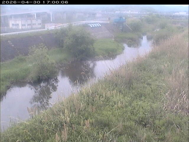 大路川３2026/05/01 16:50:00