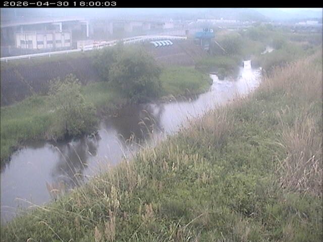 大路川３2026/05/01 16:50:00