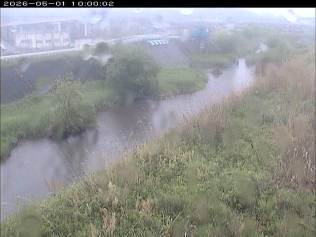 大路川３2026/05/01 16:50:00