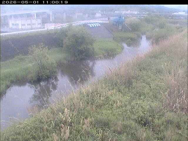 大路川３2026/05/01 16:50:00