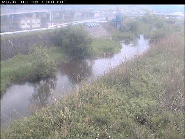 大路川３2026/05/01 16:50:00