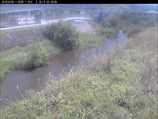 大路川３2026/05/01 16:50:00