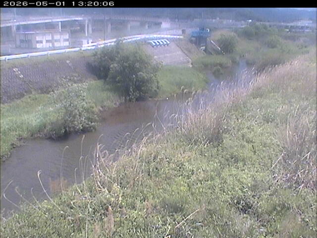 大路川３2026/05/01 16:50:00
