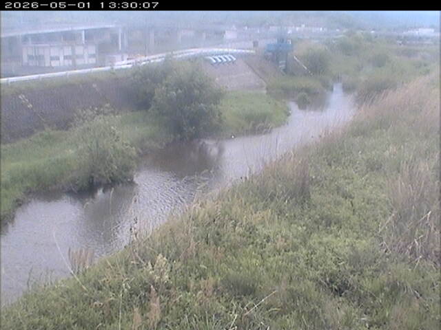 大路川３2026/05/01 16:50:00