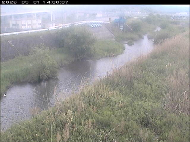大路川３2026/05/01 16:50:00