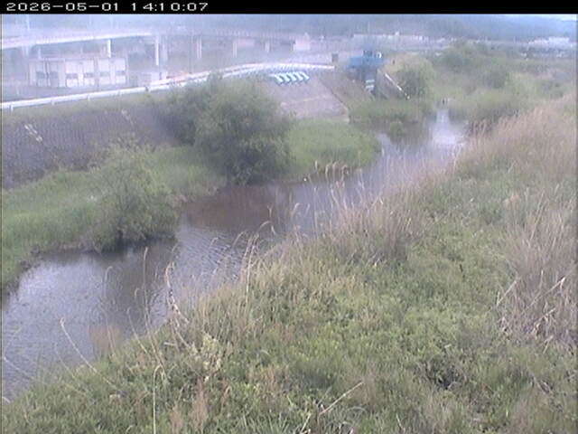 大路川３2026/05/01 16:50:00