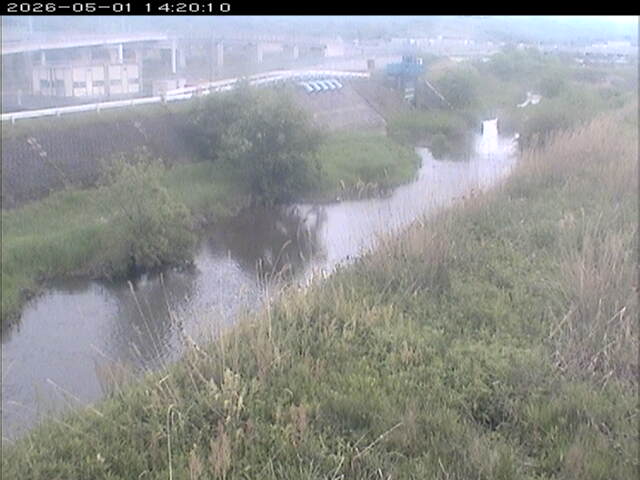 大路川３2026/05/01 16:50:00