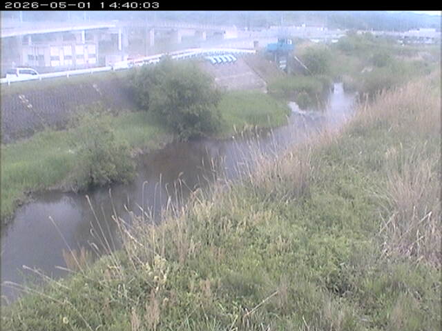 大路川３2026/05/01 16:50:00