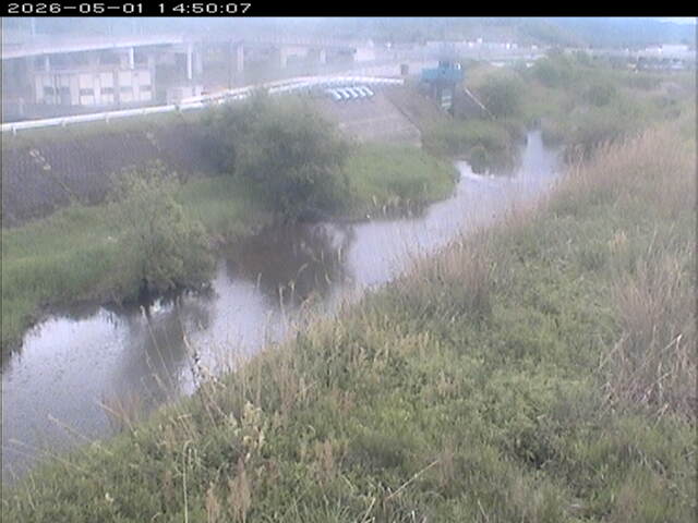 大路川３2026/05/01 16:50:00