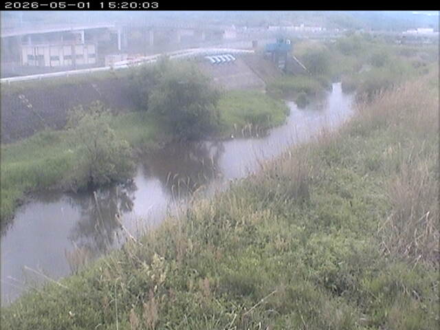 大路川３2026/05/01 16:50:00