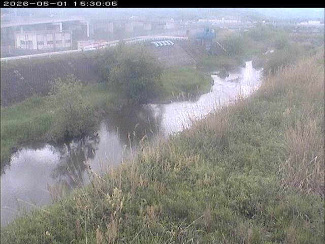 大路川３2026/05/01 16:50:00