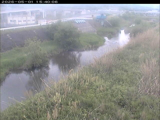 大路川３2026/05/01 16:50:00