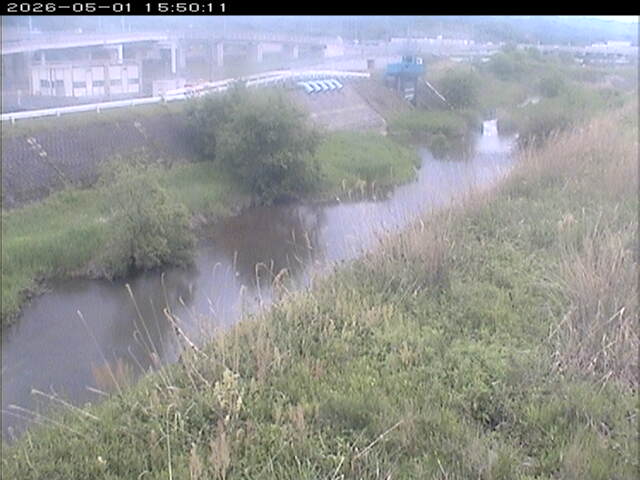 大路川３2026/05/01 16:50:00