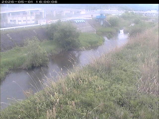 大路川３2026/05/01 16:50:00