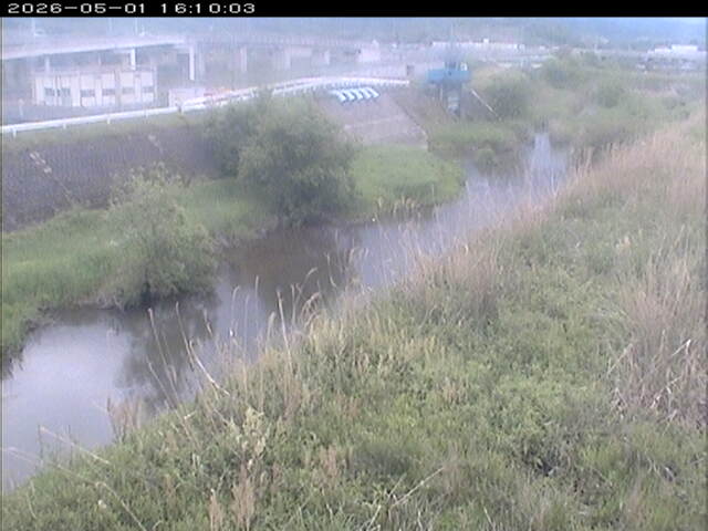 大路川３2026/05/01 16:50:00