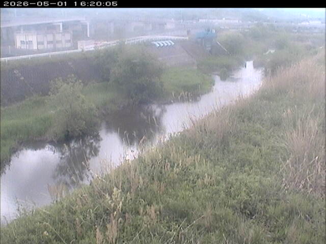 大路川３2026/05/01 16:50:00