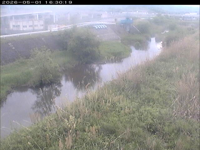 大路川３2026/05/01 16:50:00