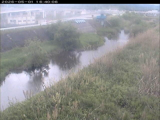 大路川３2026/05/01 16:50:00