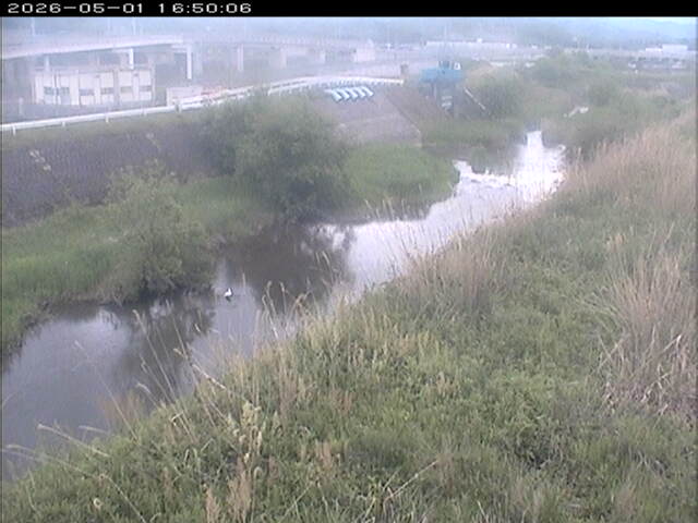 大路川３2026/05/01 16:50:00