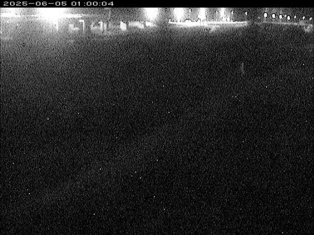 大路川３2025/06/06 1:10:00