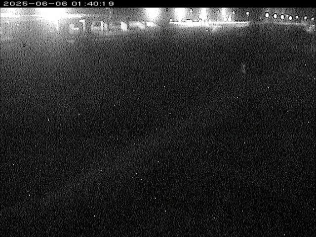 大路川３2025/06/06 2:00:00