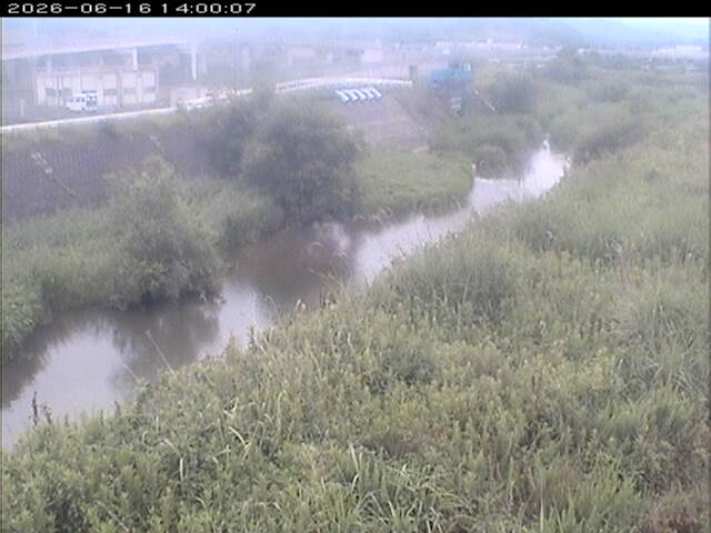 大路川３2026/06/17 12:00:00