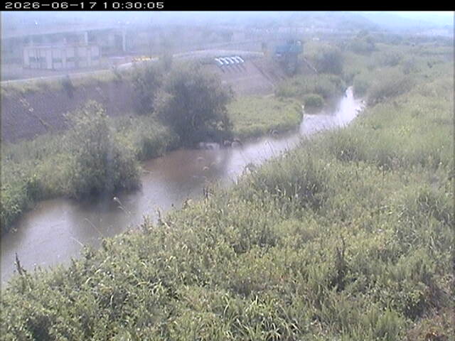 大路川３2026/06/17 12:00:00